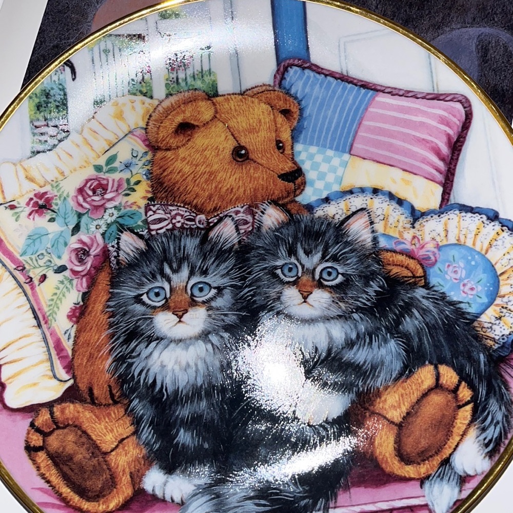 🐈 🐻 🐈‍⬛ • 🐈‍⬛🐻 Cozy Companions 🐻🐈 • Cat vibes